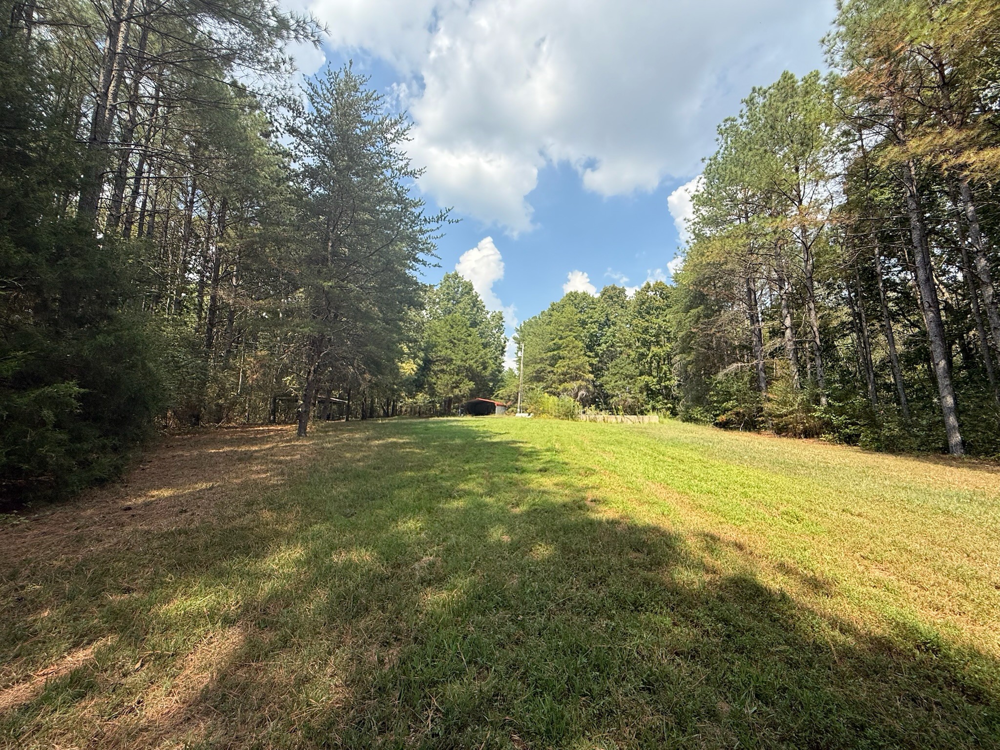 145 Brier Hill Road Ethridge, TN 38456 - Photo 40 of 64 a view of a yard with an trees