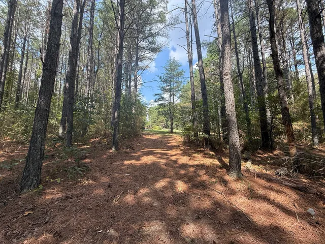 a view of outdoor space with trees