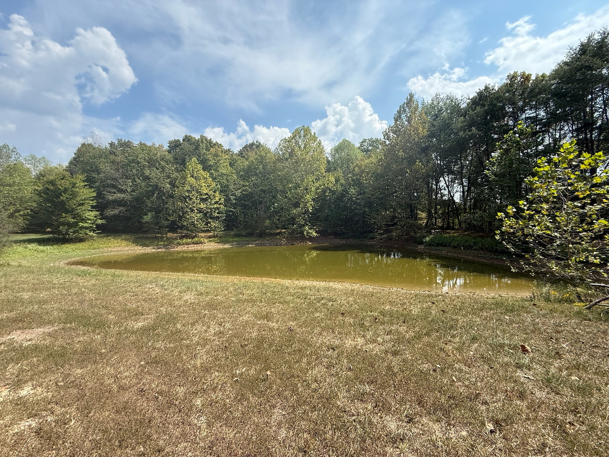 145 Brier Hill Road Ethridge, TN 38456 - Photo 44 of 64 a view of a lake view