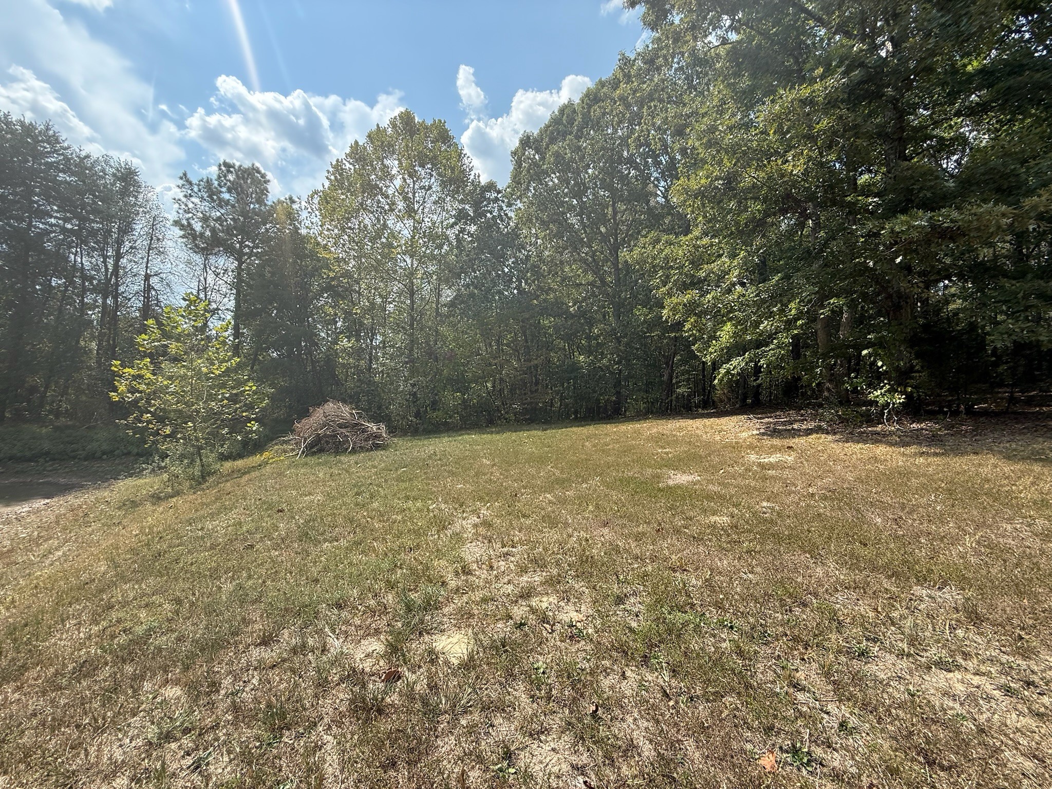 145 Brier Hill Road Ethridge, TN 38456 - Photo 46 of 64 a view of a yard with a tree