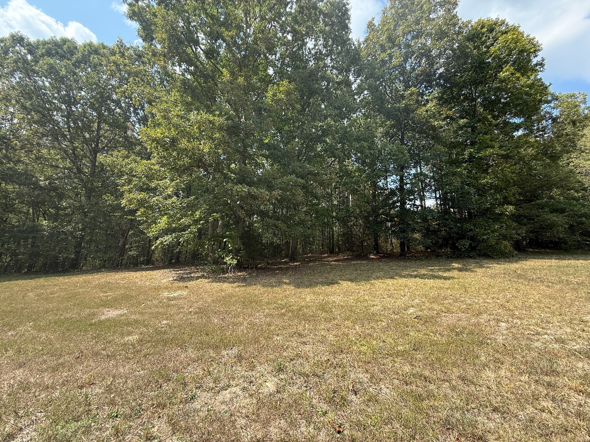 145 Brier Hill Road Ethridge, TN 38456 - Photo 47 of 64