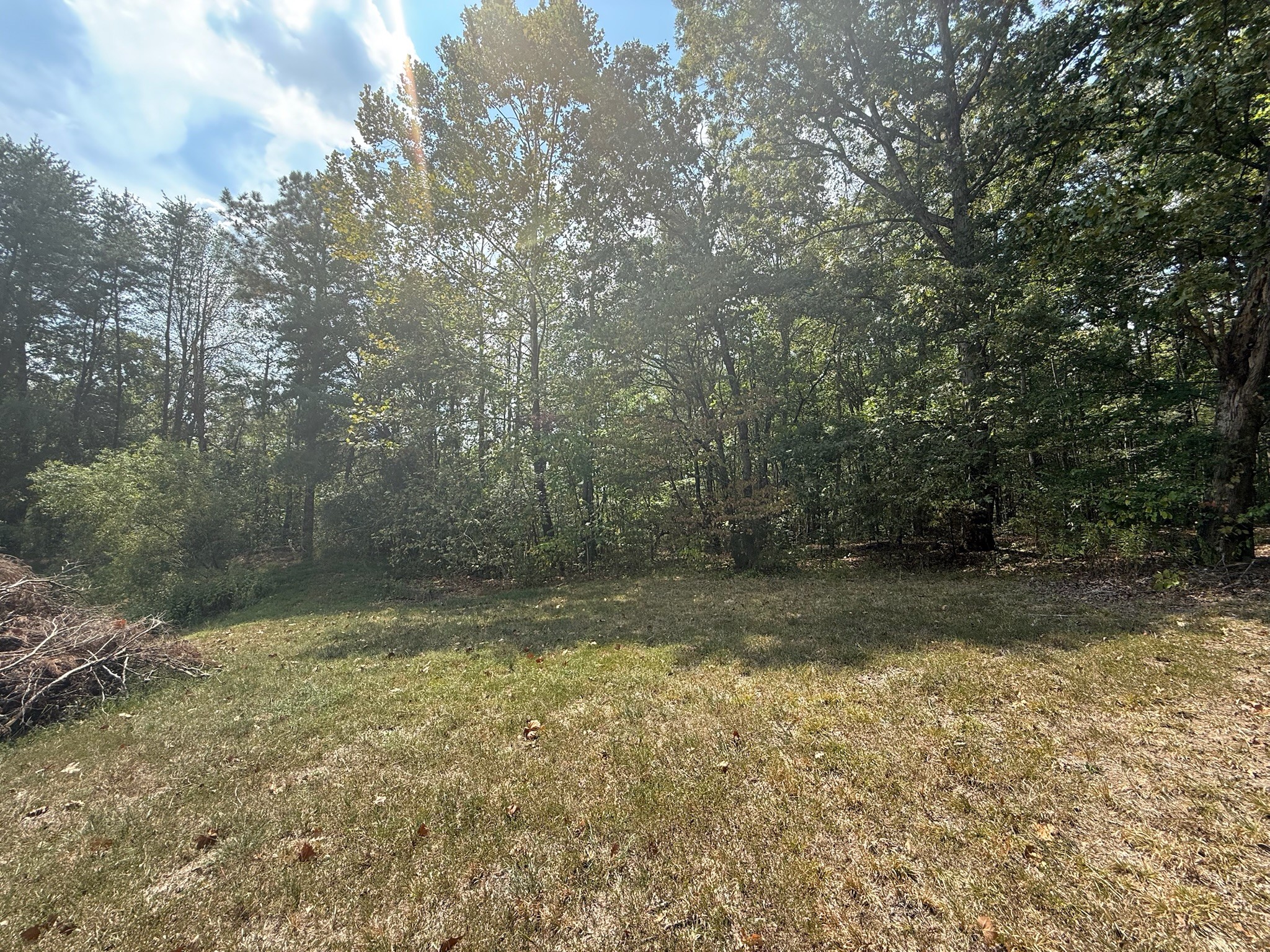 145 Brier Hill Road Ethridge, TN 38456 - Photo 48 of 64 a view of a yard with trees