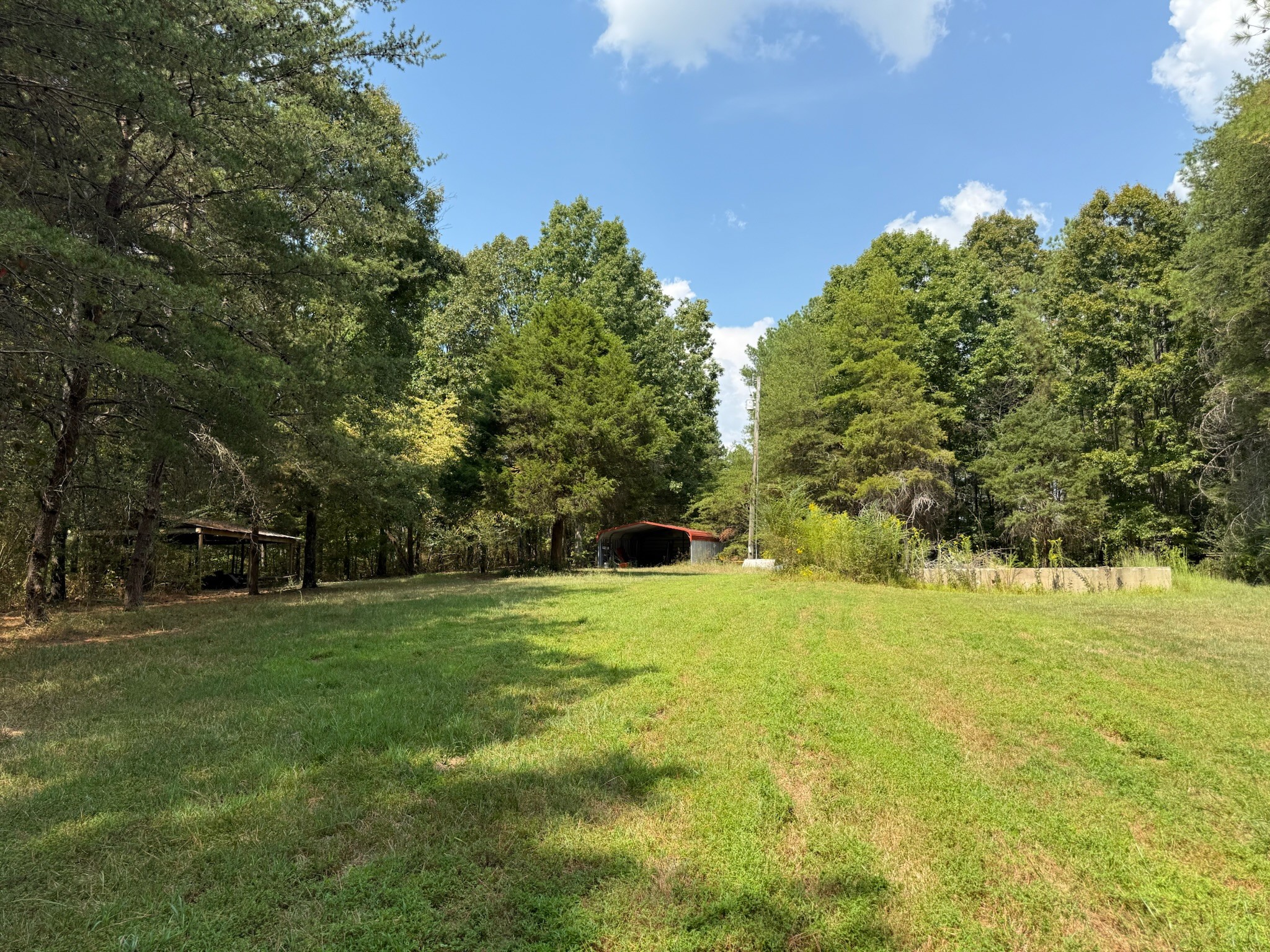 145 Brier Hill Road Ethridge, TN 38456 - Photo 50 of 64 a view of a trees in a yard