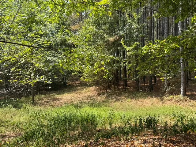 $280,000 | 145 Brier Hill Road, Ethridge, TN 38456