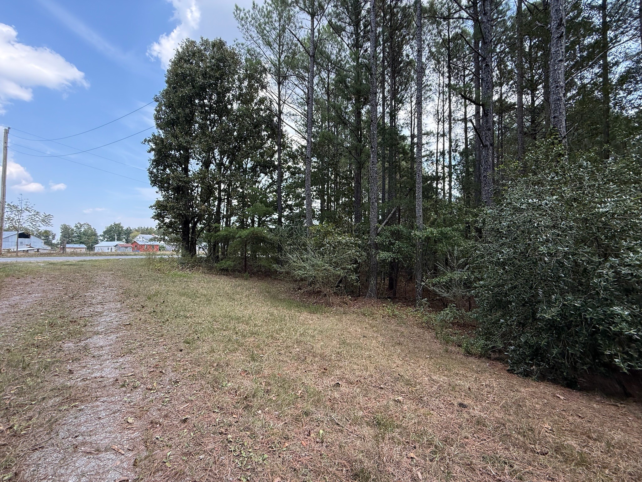 145 Brier Hill Road Ethridge, TN 38456 - Photo 59 of 64 a view of outdoor space and yard