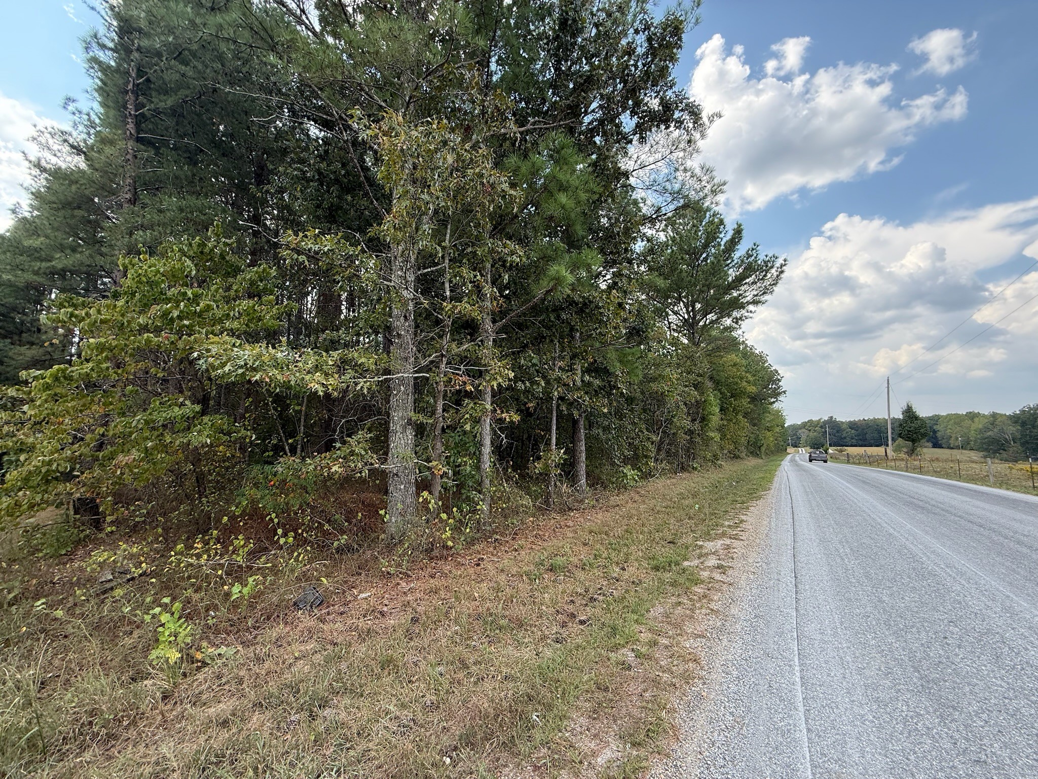 145 Brier Hill Road Ethridge, TN 38456 - Photo 63 of 64