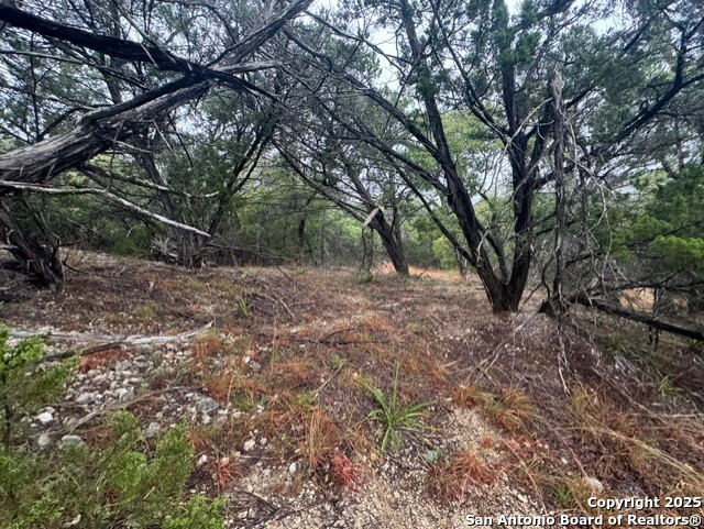 343 West Headwaters Ranch Road Kendalia, TX 78027 - Photo 8 of 25