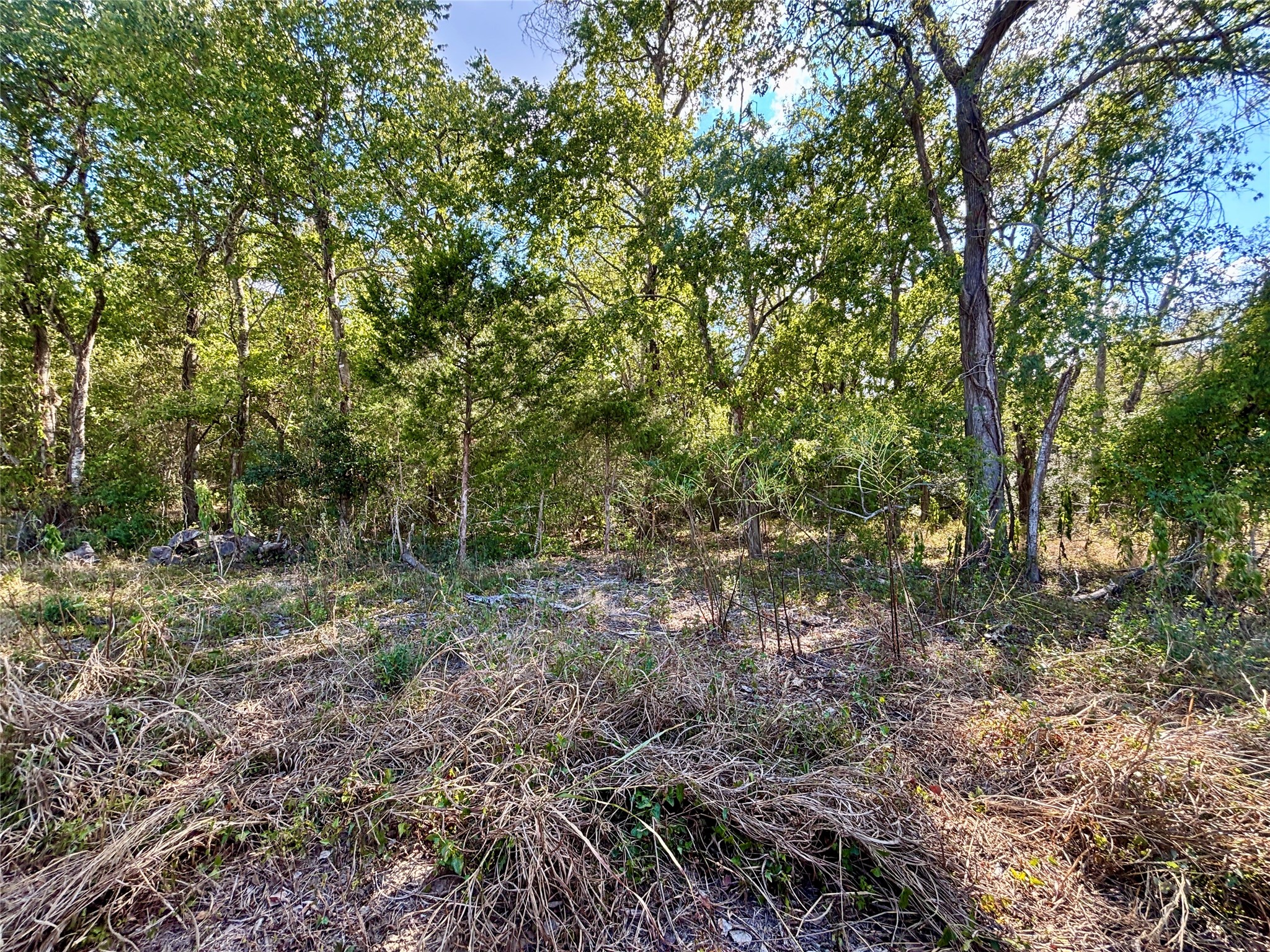 Tbd Bateman Road Red Rock, TX 78662 - Photo 13 of 16 Gallery Image 13