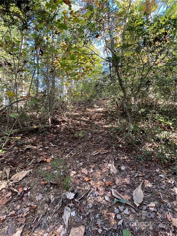 0 Henry Mc Call Road, Unit LOT 3 & 4 Marion, NC 28752 - Photo 3 of 10 a view of a large tree