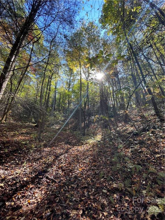 0 Henry Mc Call Road, Unit LOT 3 & 4 Marion, NC 28752 - Photo 8 of 10 a backyard of a house