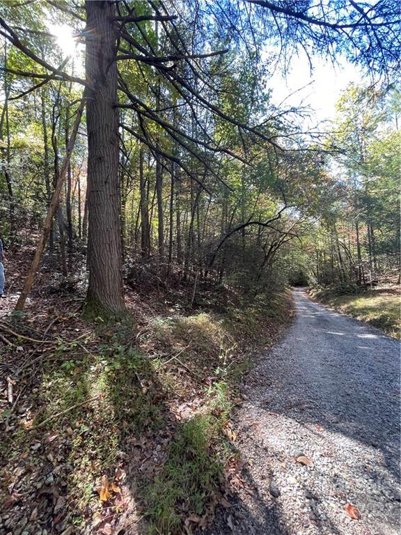 0 Henry Mc Call Road, Unit LOT 3 & 4 Marion, NC 28752 - Photo 10 of 10 a view of backyard with large trees