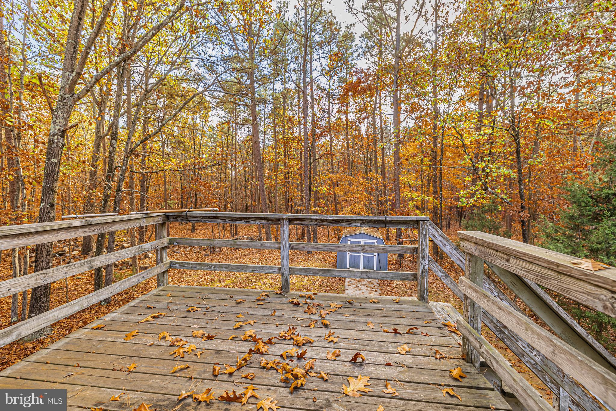 20 Tomwells Road Berlin, NJ 08009 - Photo 4 of 10