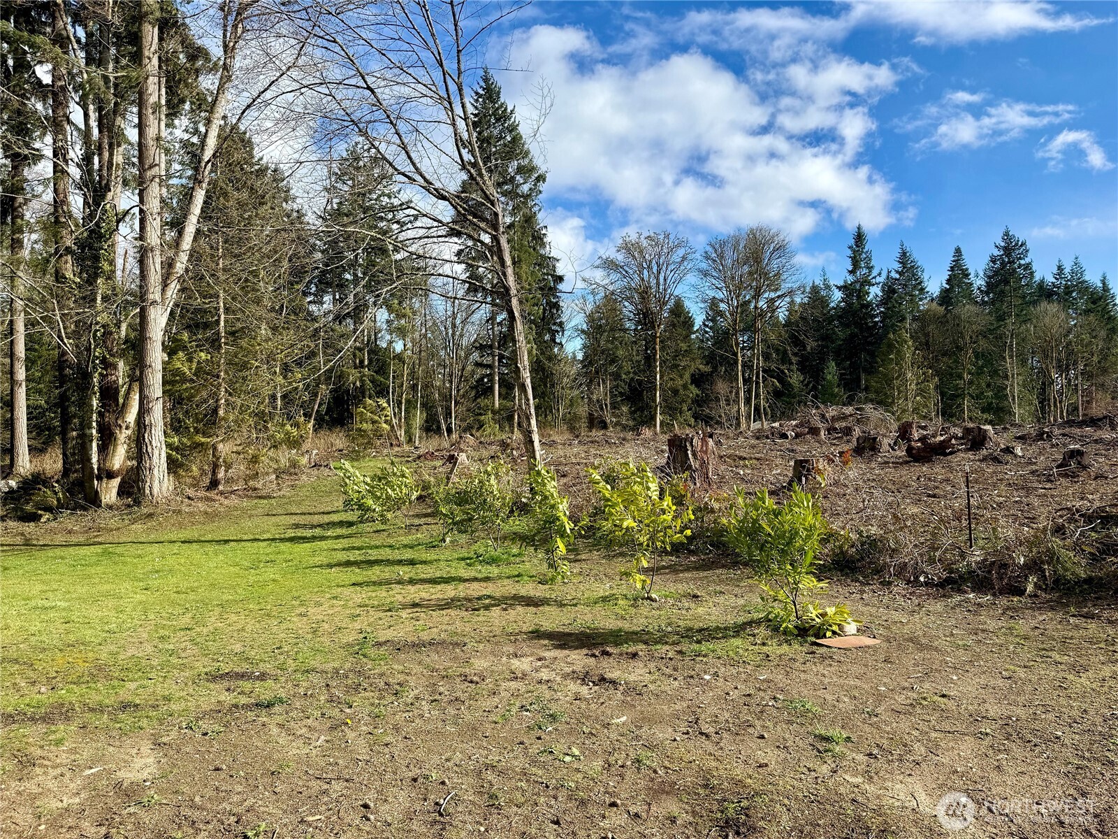 11477 Tulin Road Northeast Kingston, WA 98346 - Photo 22 of 36