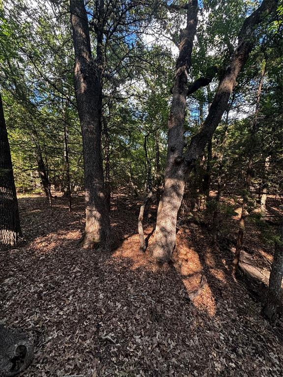 Tbd Woodland Estates Road Terrell, TX 75160 - Photo 16 of 22 a backyard of a house with lots of green space