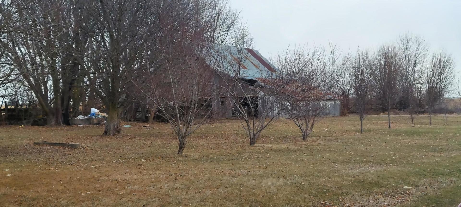 1640 170th Avenue Reynolds, IL 61279 - Photo 4 of 33 a view of backyard with trees
