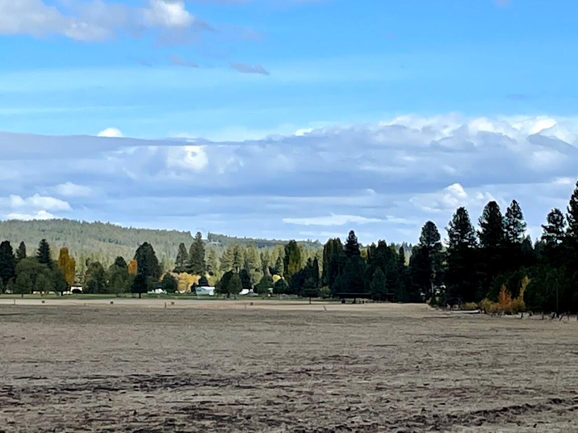 10 Acres Off Round Lake Road Klamath Falls, OR 97601 - Photo 7 of 10 g7