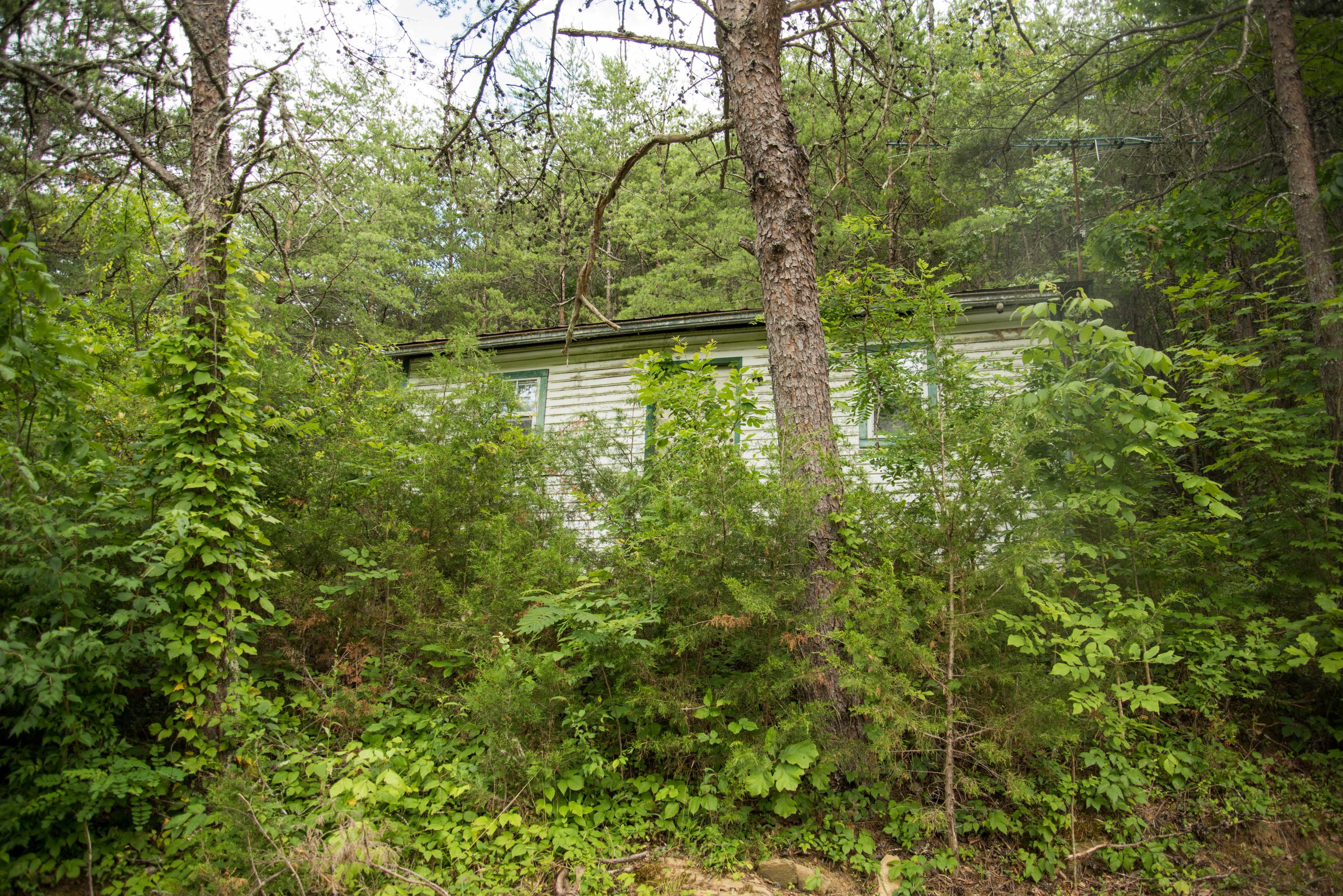 0 Lautner Road Bulls Gap, TN 37711 - Photo 8 of 23 20170825-DSC_7164