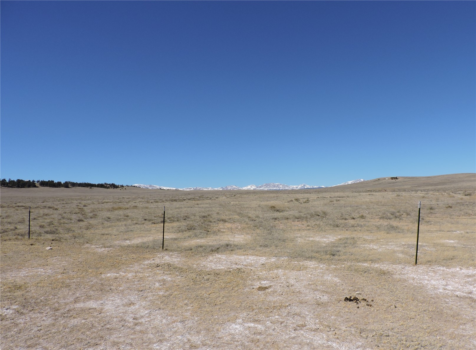 2716 Badger Road Hartsel, CO 80449 - Photo 28 of 34