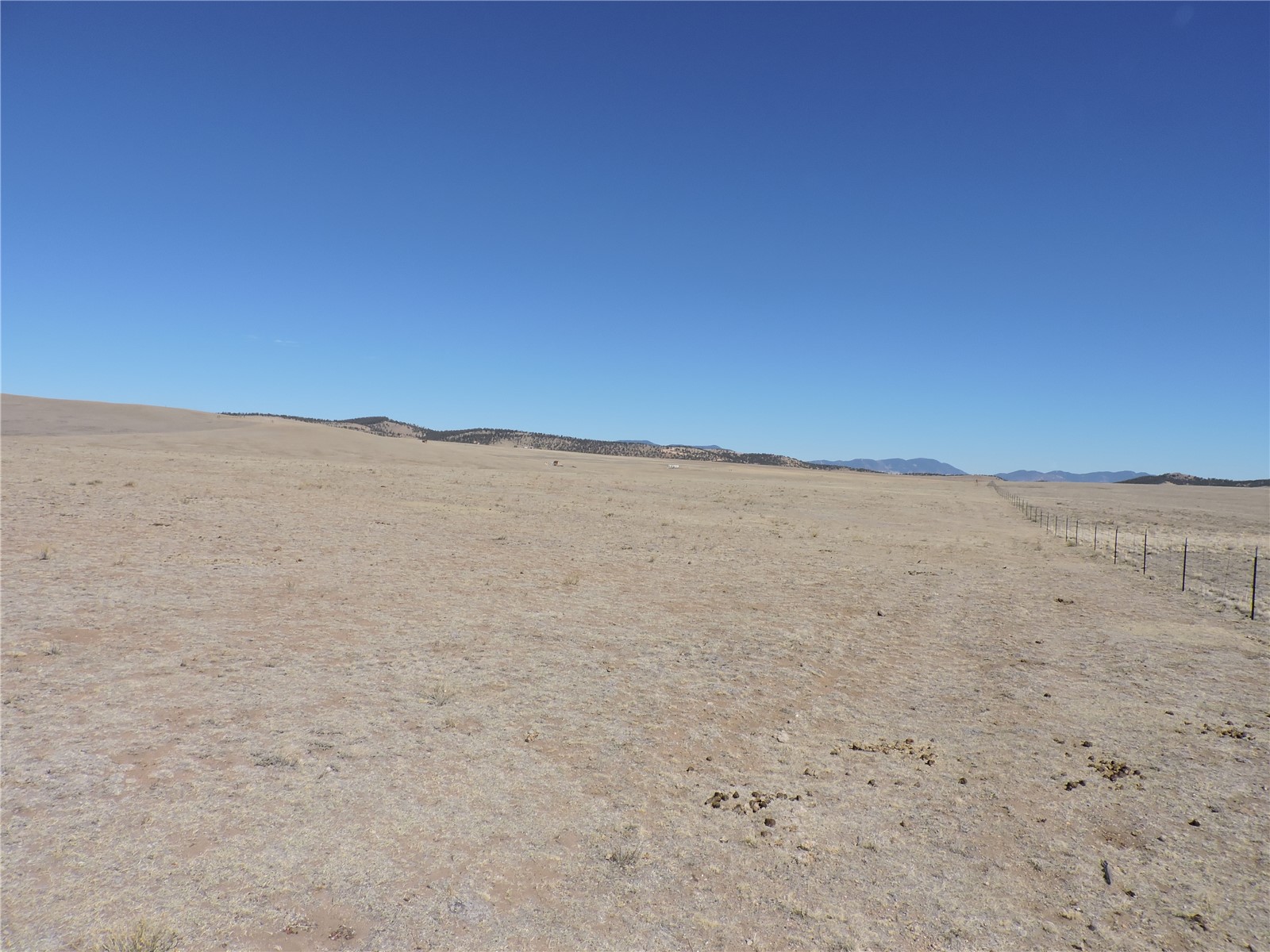 2716 Badger Road Hartsel, CO 80449 - Photo 29 of 34