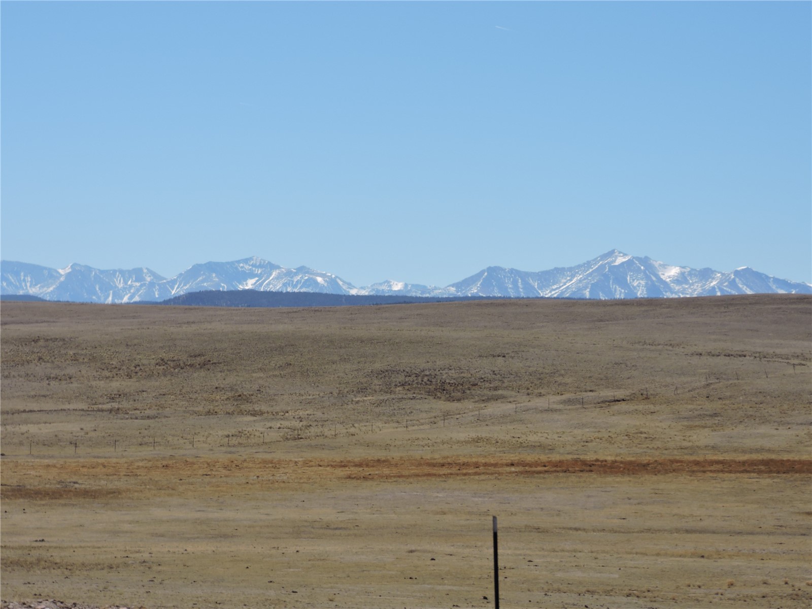 2716 Badger Road Hartsel, CO 80449 - Photo 5 of 34
