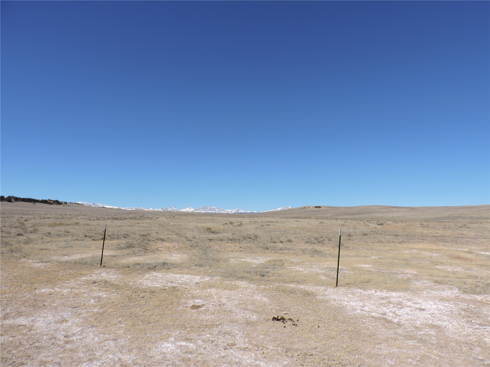 2716 Badger Road Hartsel, CO 80449 - Photo 9 of 34