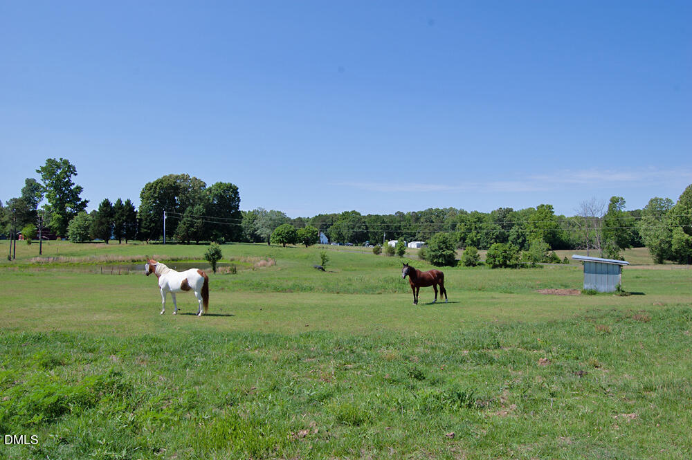 9166 Tilley Road Bullock, NC 27507 - Photo 30 of 86