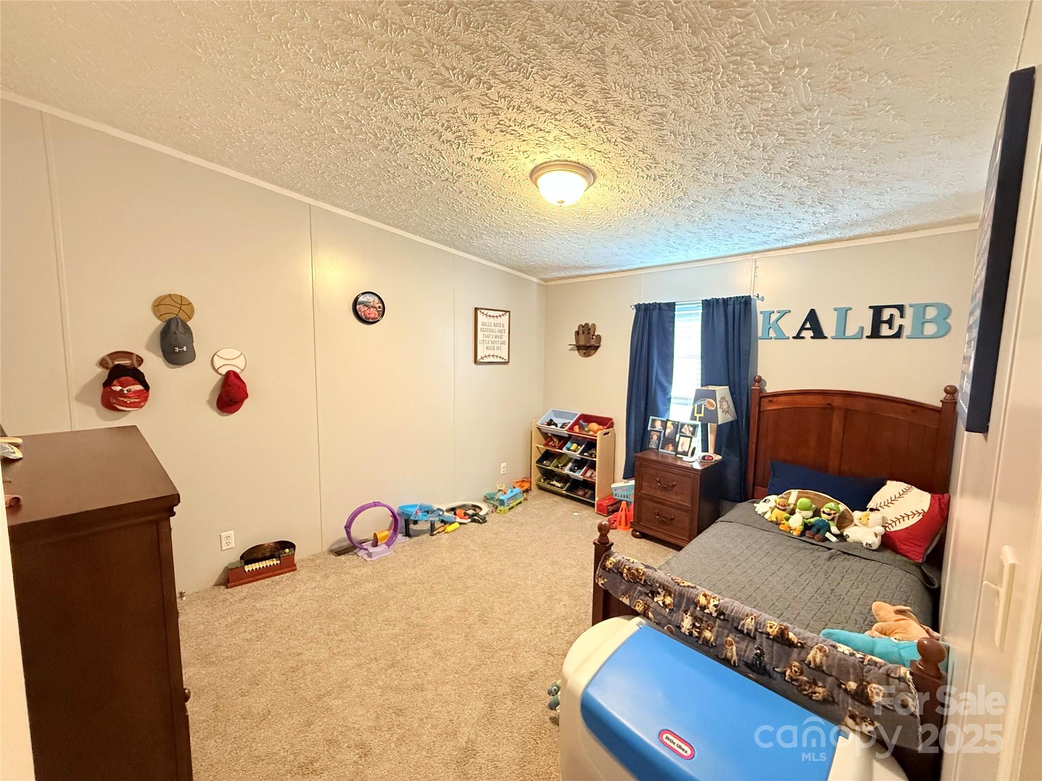 345 Mount Pleasant Church Road Marion, NC 28752 - Photo 17 of 29 Gallery Image 17
