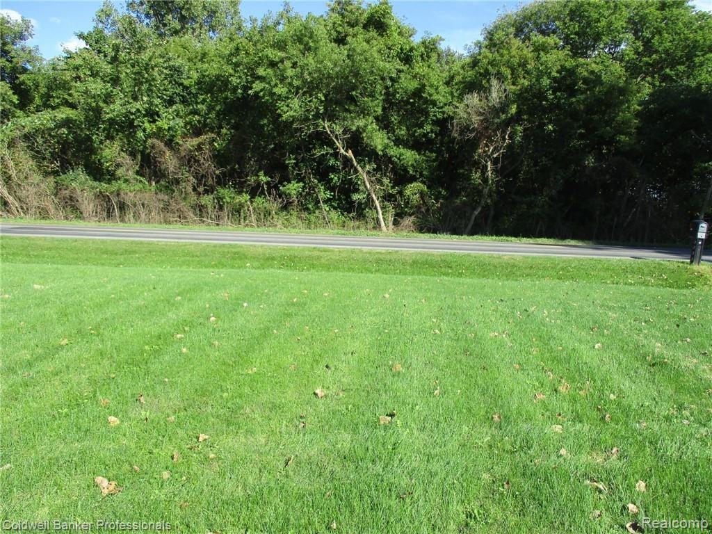 5154 South Byron Road Durand, MI 48429 - Photo 53 of 56 FRONT YARD VIEW.JPG