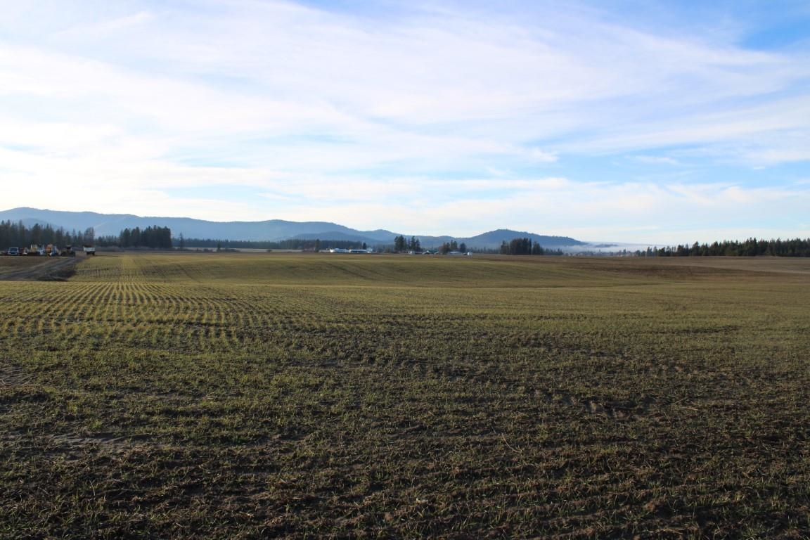 3450 North Spotted Road Deer Park, WA 99006 - Photo 10 of 14