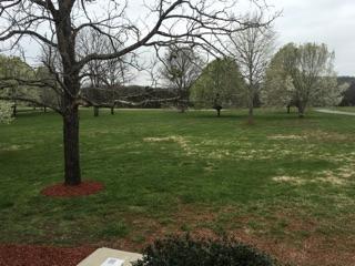4838 Bluebird Road Lebanon, TN 37090 - Photo 17 of 17 Gallery Image 17