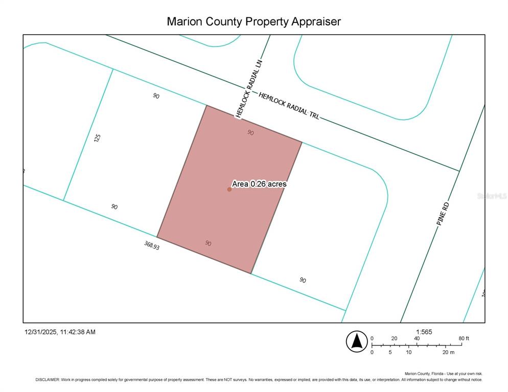 Tbd Hemlock Radial Trail Ocala, FL 34472 - Photo 2 of 2