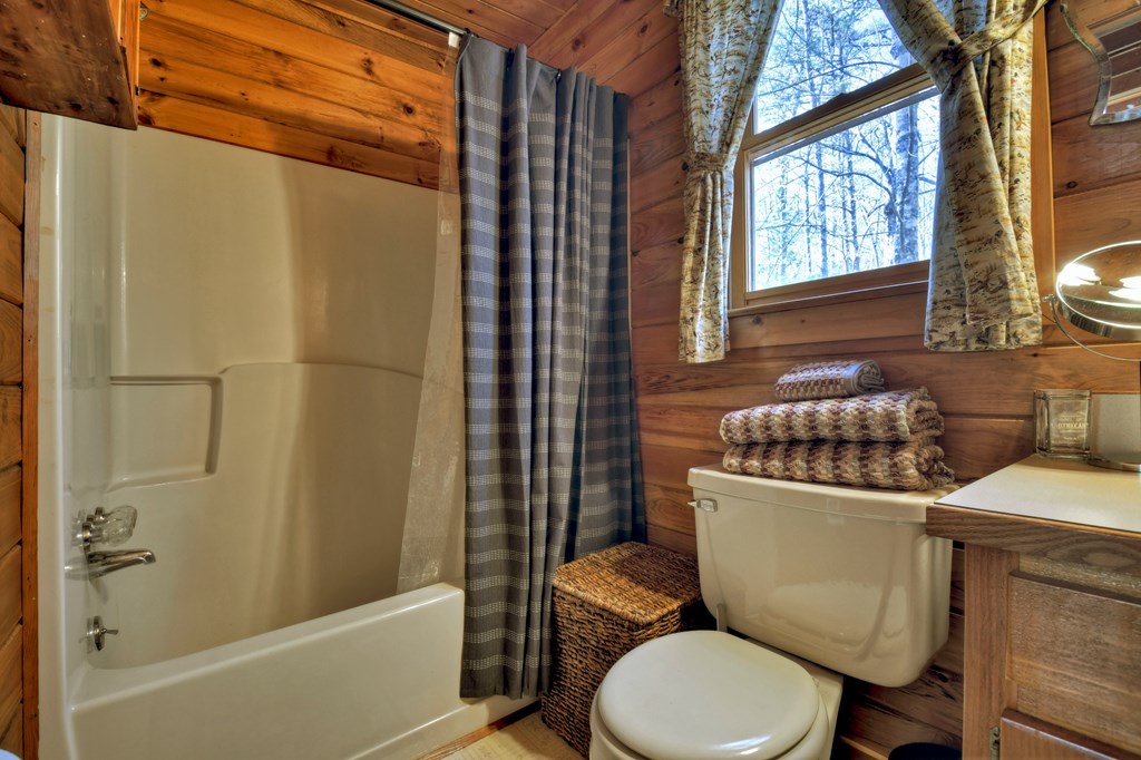 331 Chestnut Gap Road Blue Ridge, GA 30513 - Photo 15 of 44 Gallery Image 15