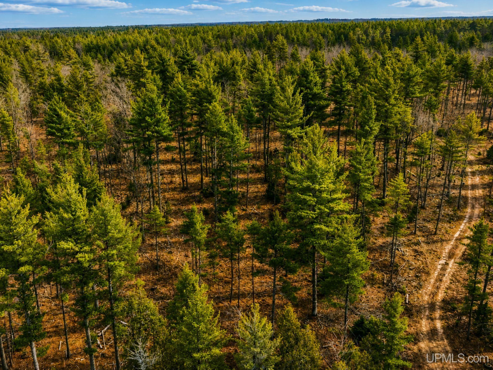 410 Rd Newberry Mi 49868 Road Newberry, MI 49868 - Photo 11 of 36