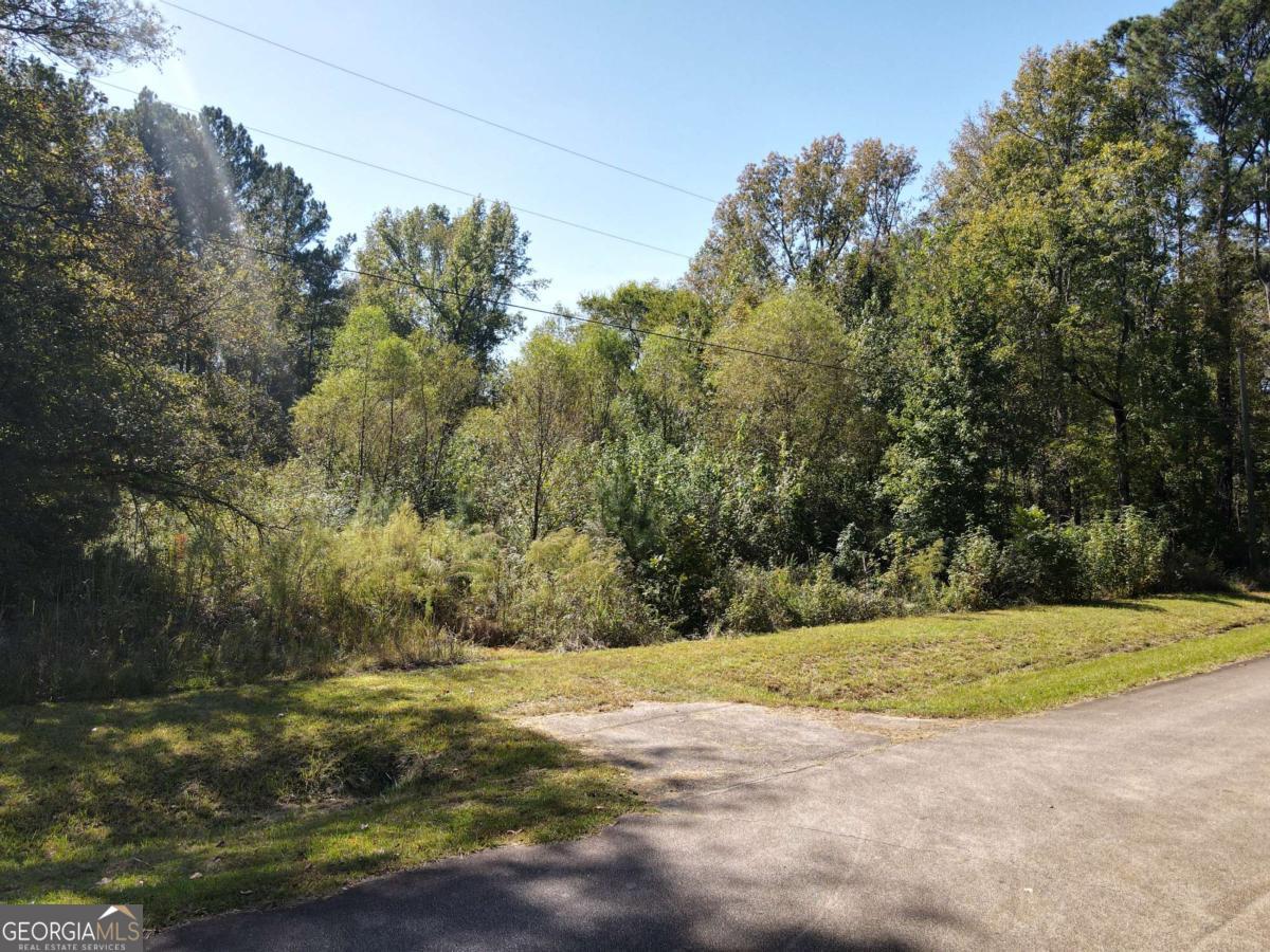 22 Freeman Road LaGrange, GA 30240 - Photo 2 of 10 a view of a yard with an trees