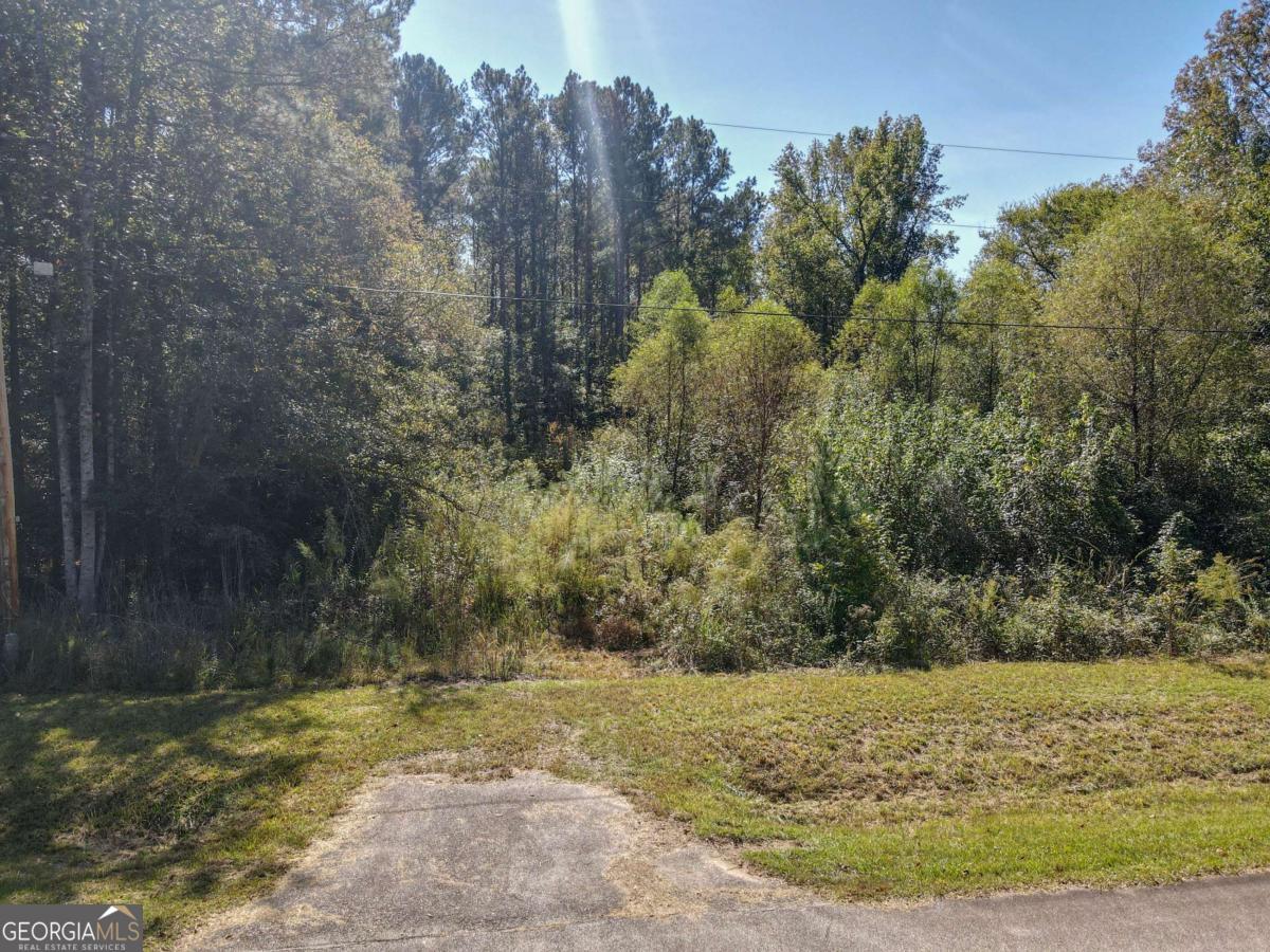 22 Freeman Road LaGrange, GA 30240 - Photo 3 of 10 a view of a yard with trees