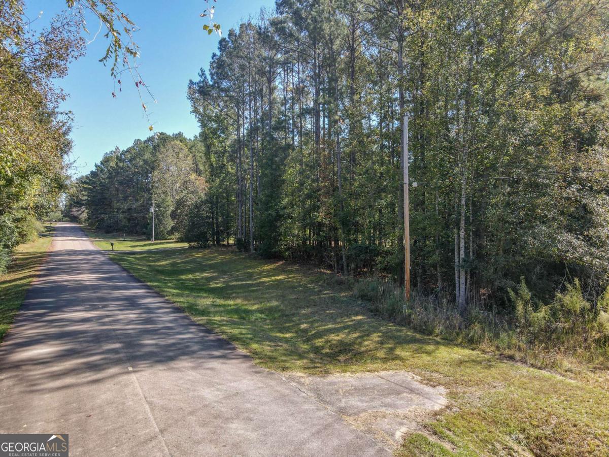22 Freeman Road LaGrange, GA 30240 - Photo 4 of 10 a view of a yard with trees