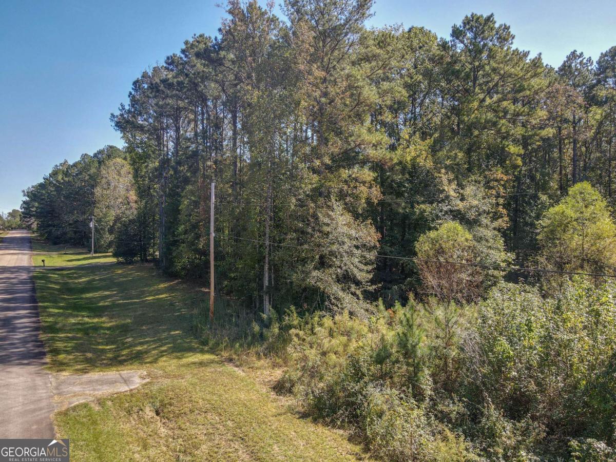 22 Freeman Road LaGrange, GA 30240 - Photo 5 of 10 a view of a tree with a yard