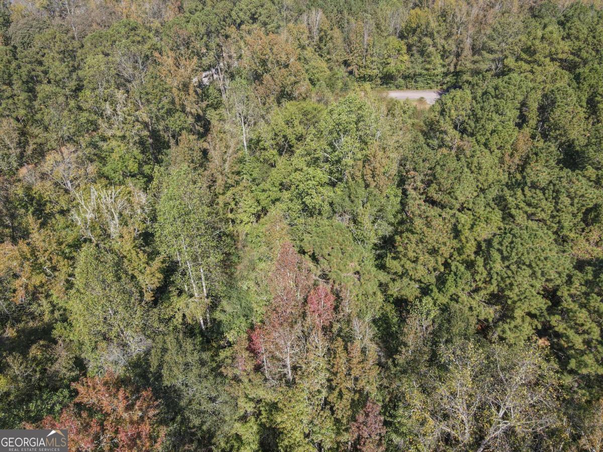 22 Freeman Road LaGrange, GA 30240 - Photo 6 of 10 a view of a forest with a street