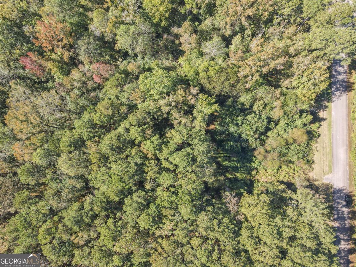 22 Freeman Road LaGrange, GA 30240 - Photo 7 of 10 a view of a tree