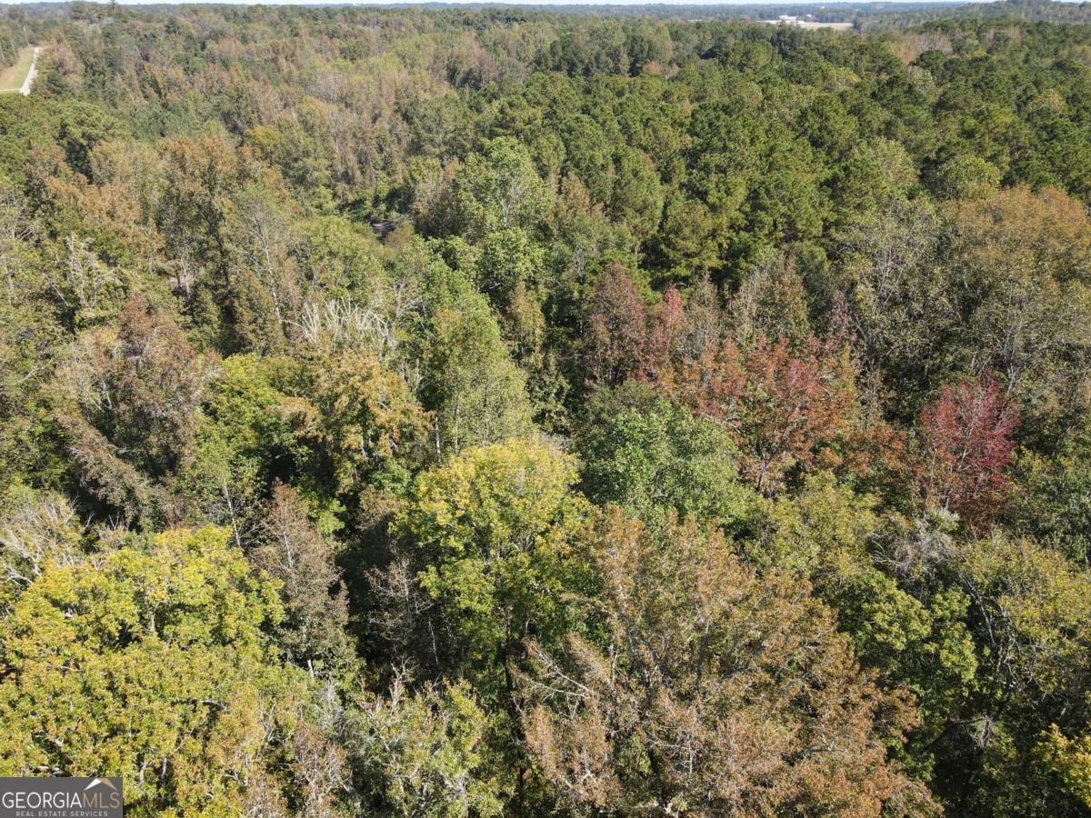 22 Freeman Road LaGrange, GA 30240 - Photo 9 of 10 a view of a bunch of trees and bushes