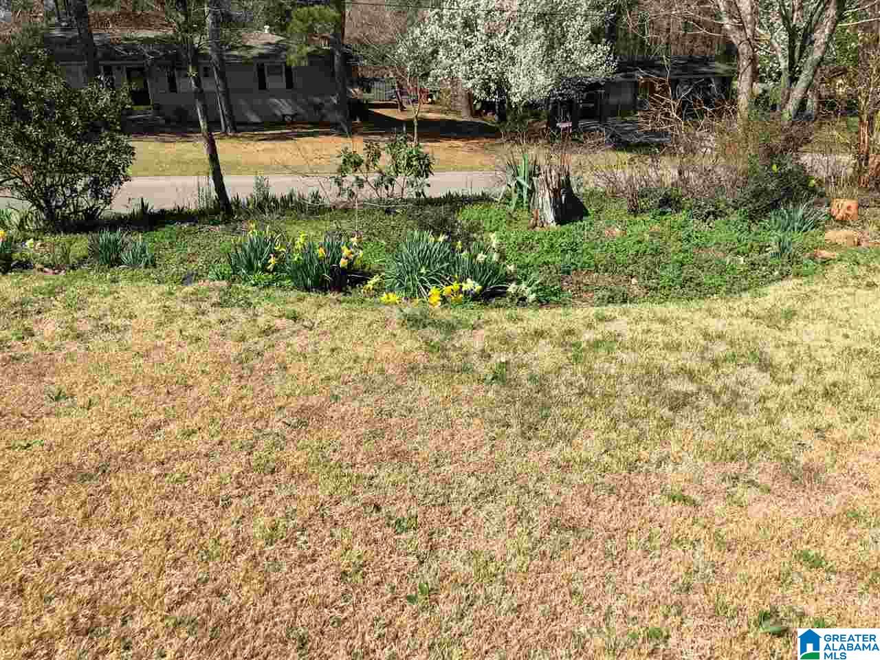 347 Brockford Road Heflin, AL 36264 - Photo 39 of 42