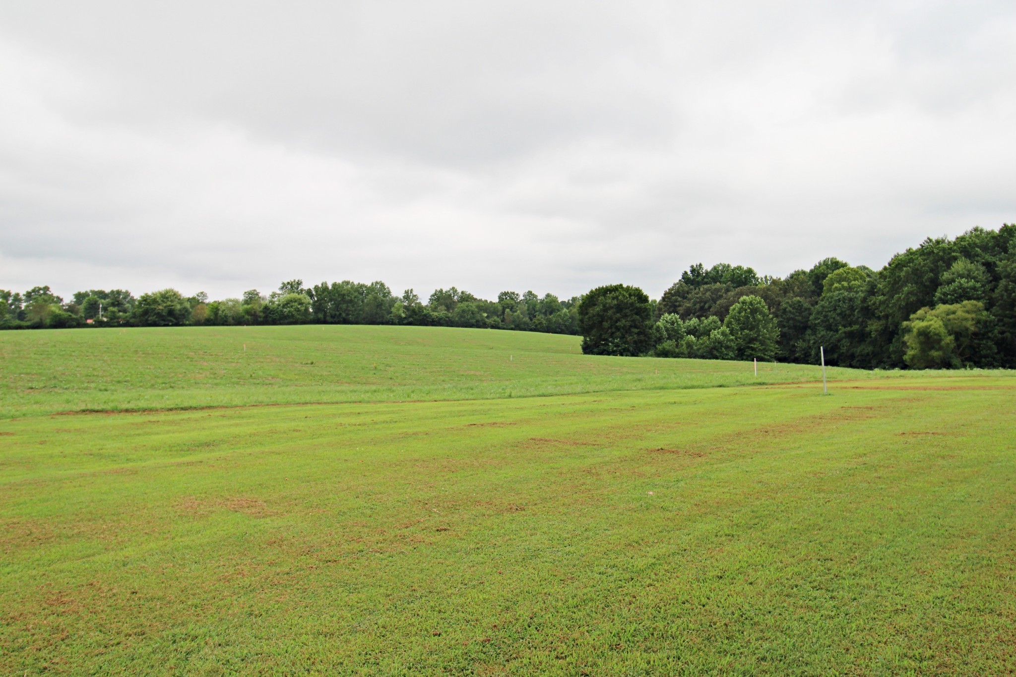 3 Pleasant Grove Road Westmoreland, TN 37186 - Photo 14 of 15 Gallery Image 14