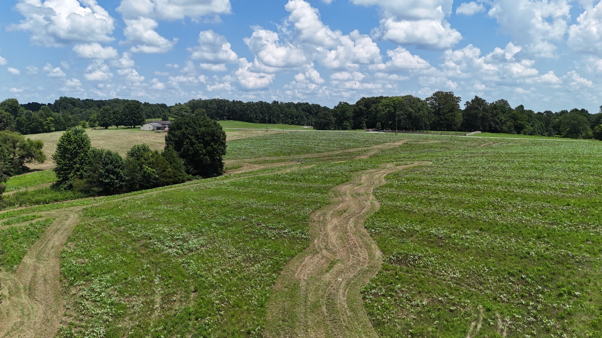 3 Pleasant Grove Road Westmoreland, TN 37186 - Photo 9 of 15 Gallery Image 9