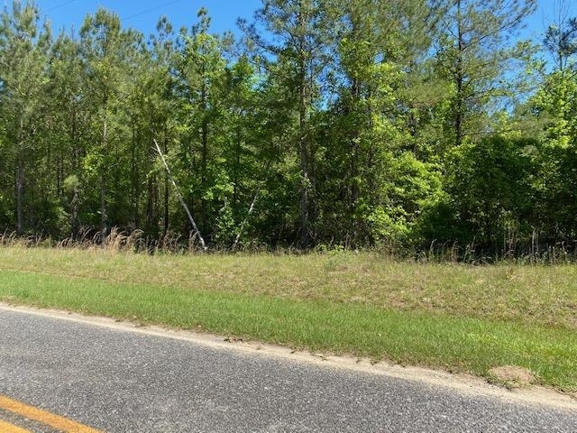 0 Flint River Estates Road Roberta, GA 31078 - Photo 1 of 1