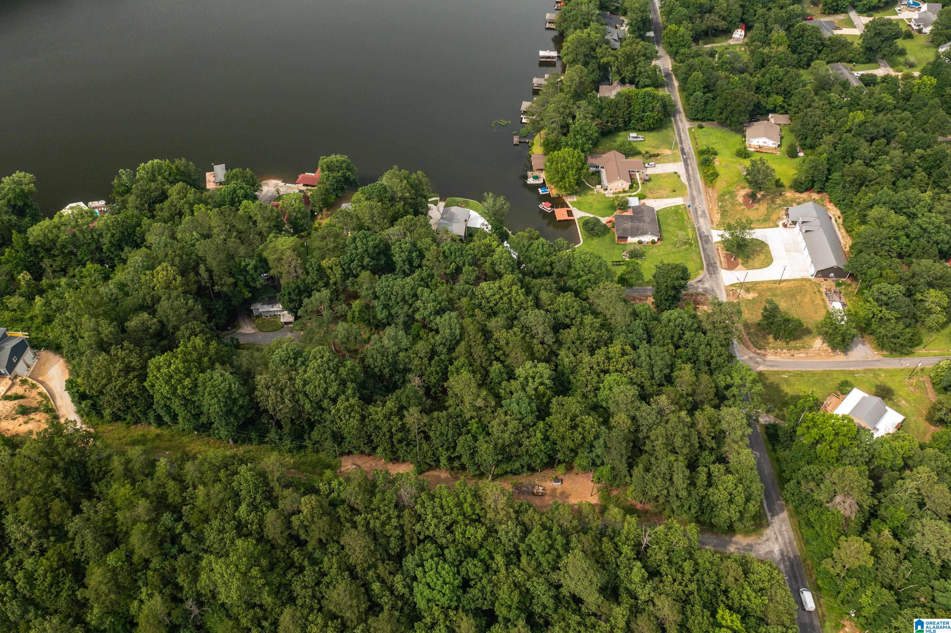 58 East Sunset Boulevard Oneonta, AL 35121 - Photo 33 of 40