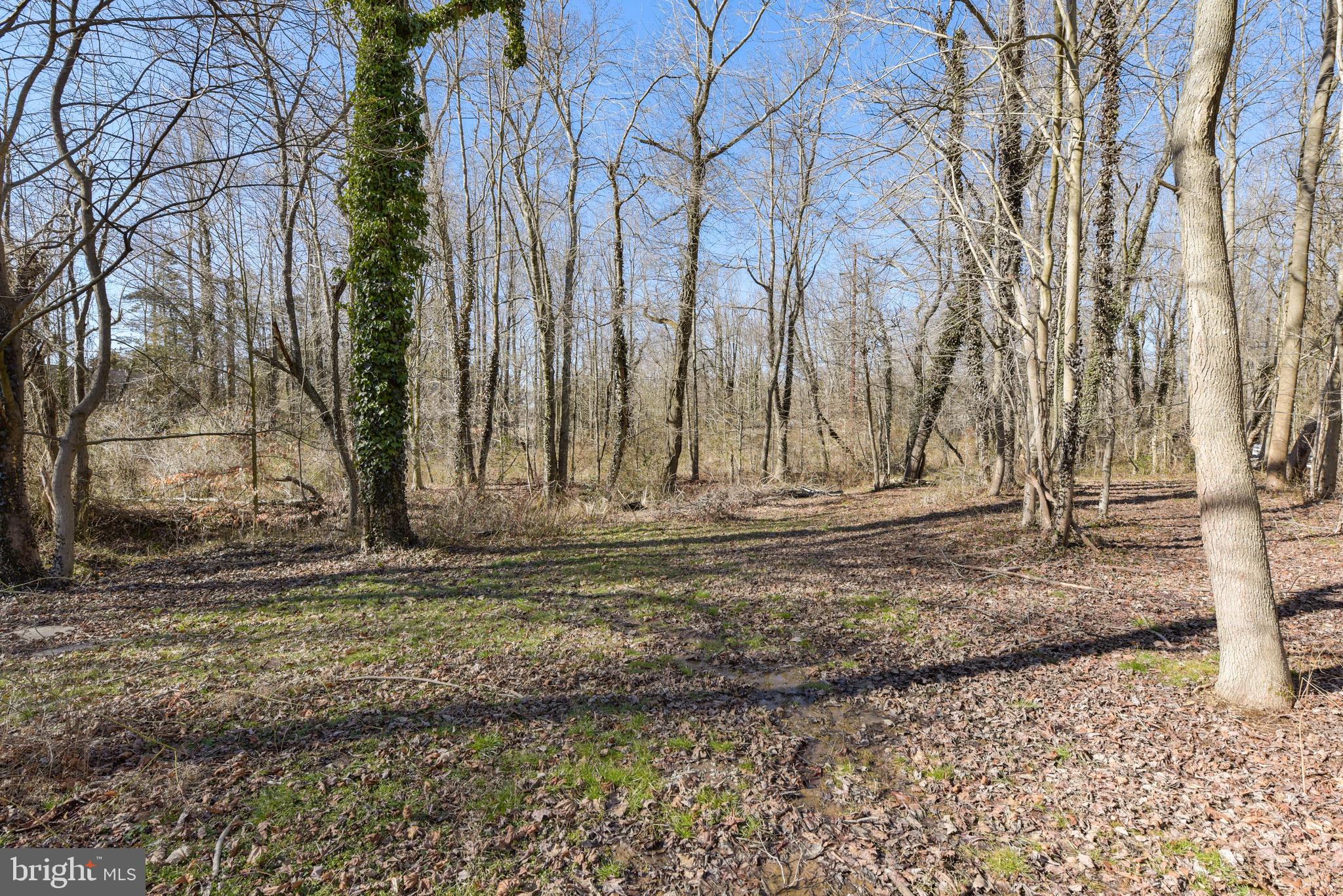 61 Cedar Street Alloway, NJ 08001 - Photo 45 of 48 Gallery Image 45