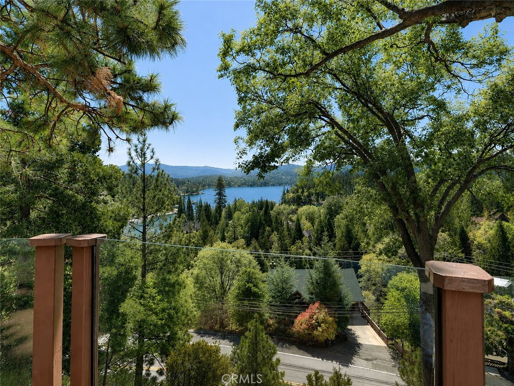 27550 North Bay Road Lake Arrowhead, CA 92352 - Photo 10 of 32
