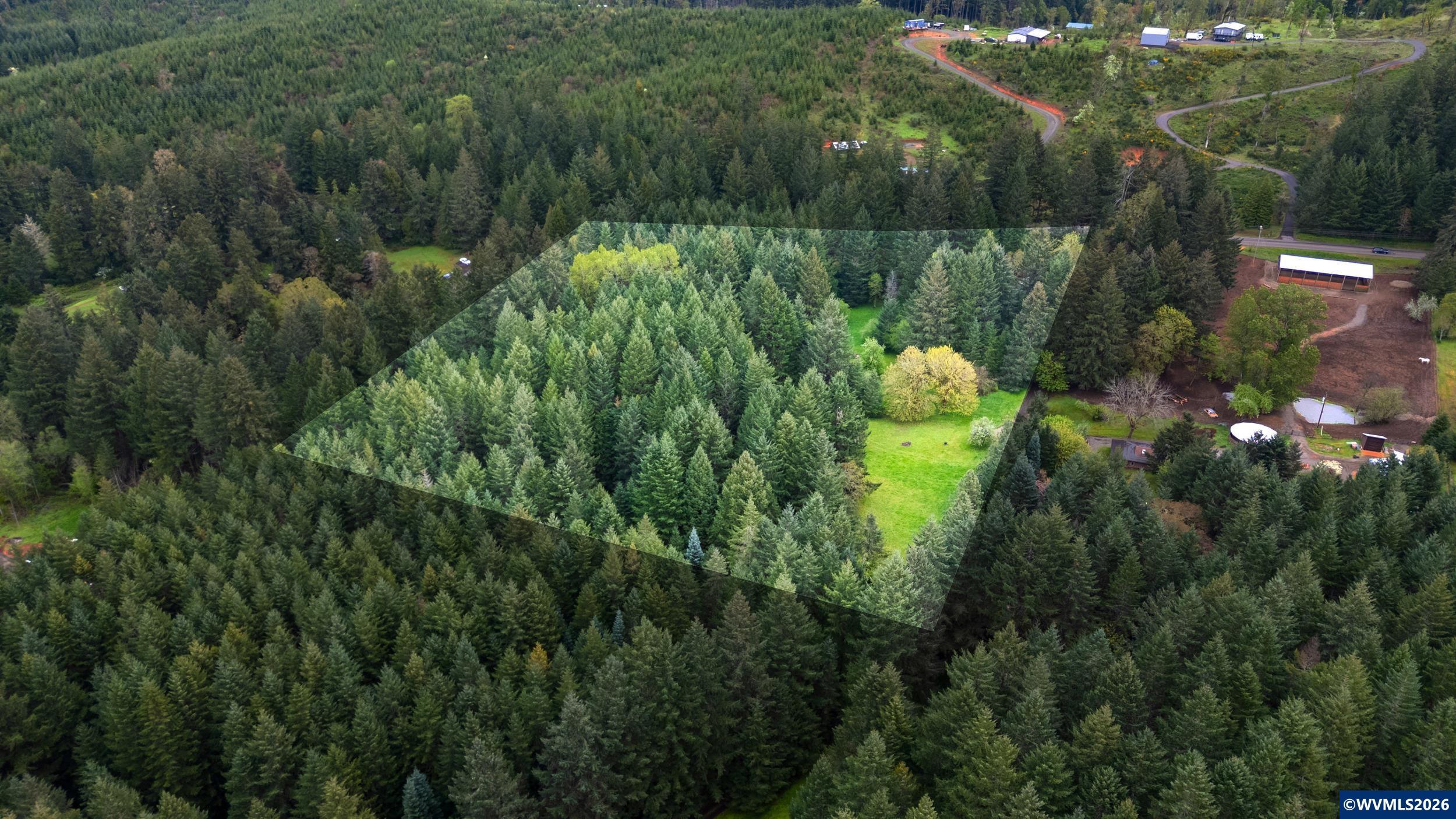 23939 Raze Road Elmira, OR 97437 - Photo 44 of 46