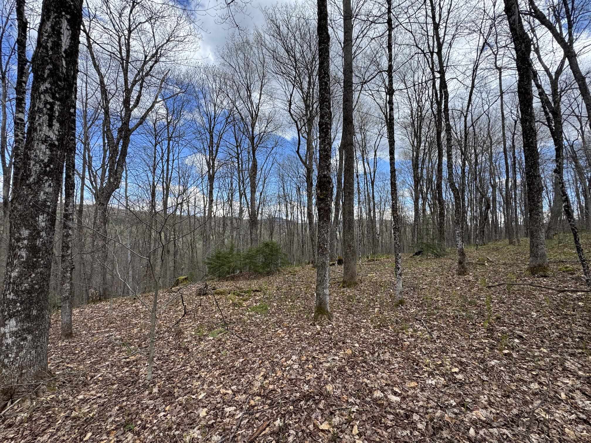 316 Last Road Cabot, VT 05647 - Photo 24 of 26