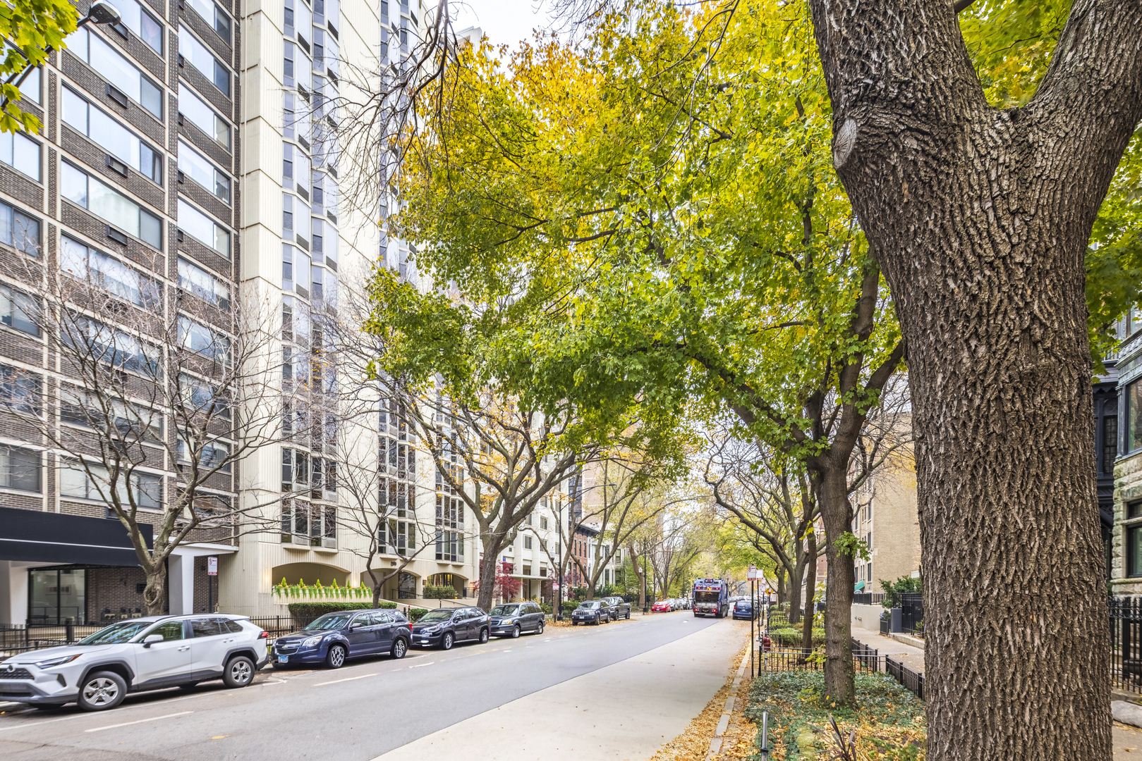 1340 North Dearborn Street, Unit 5C Chicago, IL 60610 - Photo 39 of 44 a building with trees in front of it